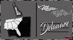 'Merica: Wish You Were Here @Night / Delaware & Logo Piece #2