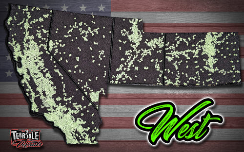 'MERICA Series: West